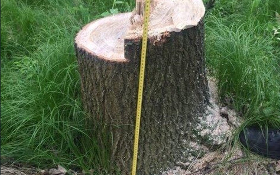 Policja poszukuje sprawcy uszkodzenia drzew w Przeciszowie i Piotrowicach