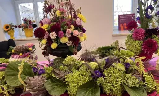 Wystawia dalii w Rynku 13