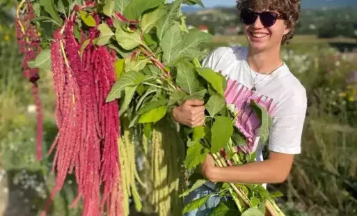 Szymon i jego Farma Motylowe Pole w programie Dzień Dobry TVN!