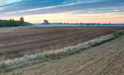 Zasady udzielania pomocy producentom rolnym, w których gospodarstwach wystąpiły szkody w uprawach: Informacja Wojewody Małopolskiego