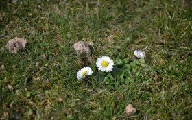 Wiosna budzi się na nowo