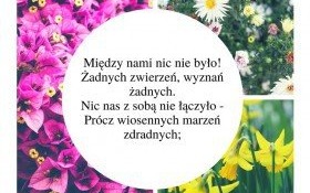 Wiosenna zagadka z biblioteki