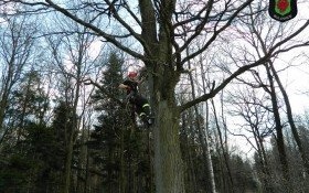 Ćwiczenia ratownictwa wysokościowego druhów z Bulowic