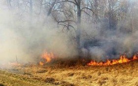 Przyszła wiosna, a z nią POŻARY! Apelujemy o czujność i rozsądek!