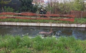 Pracowite święta dla kęckich strażaków