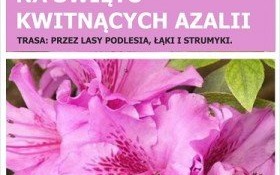 Piechurów i rowerzystów zapraszamy na wycieczkę