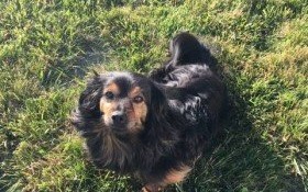 Szukamy uciekiniera. Jeśli wiesz gdzie jest - daj znać