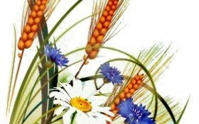 Konkurs Wieńców Dożynkowych Województwa Małopolskiego