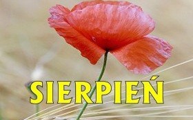 Sierpień w bibliotece