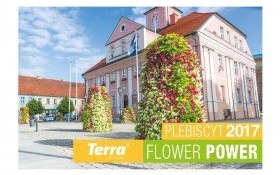 Plebiscyt Terra Flower Power: Najpiękniej Ukwiecone Miasto w Polsce. Zagłosuj na Kęty!