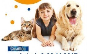 Nakarm bezdomne zwierzaki razem z Intermarché