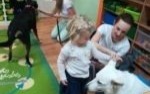 Dogoterapia w przedszkolu na Podlesiu