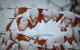 Od czwartku czekają nas opady śniegu