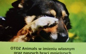 POMÓŻMY ZWIERZAKOM! - pierwsze dary pojechały już do schroniska!