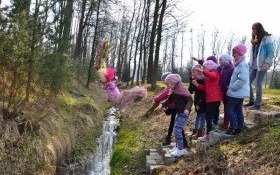 Dziś pierwszy dzień wiosny!