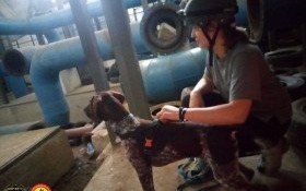 Wspólne ćwiczenia na poligonie