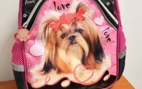 Zgubiony plecak czeka na odbiór w urzędzie