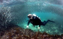 Nurkowanie na Filipinach - Spotkanie Klubu Obieżyświatów