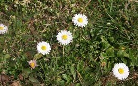 Sprzątanie kęckiej przyrody trwa