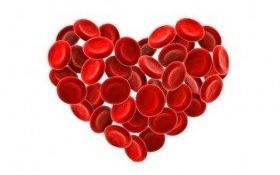 66. Akcja Krwiodawstwa w "Koperniku" - podziel się darem serca przed wakacjami!