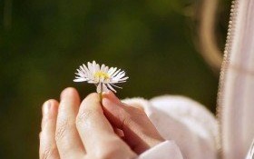 Zgłoś kandydata do Nagrody „Amicus Hominum”