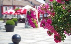 Plebiscyt na najpiękniej ukwiecone miasto w Polsce