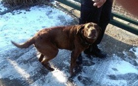 Zgubiłem się! Pomóż mi wrócić do domu!