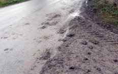 Zareagowali na wykroczenie, a ujawnili przestępstwo