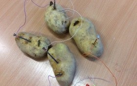 Ziemniaczane eksperymenty w bibliotece