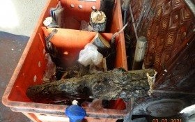 Oto efekty współpracy straży i policji. A to dopiero początek…