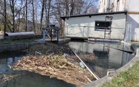 Woda to nie śmietnik. Do starego młyna znów płynie potok odpadów!