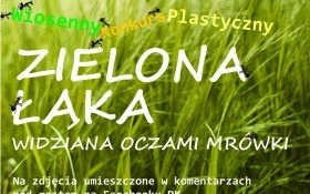 Świat widziany oczami mrówki. Wiosenny konkurs plastyczny