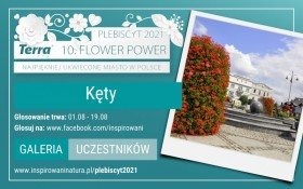 Konkurs Terra Flower Power - Kęty znów walczą o tytuł najpiękniej ukwieconego miasta!