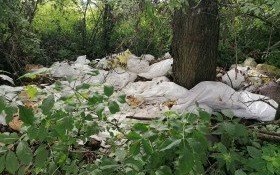 Wyrzucił 50 worków do lasu. Większość wypełniona zepsutym chlebem