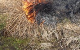 Kęty, Bulowice - mieszkańcy dostrzegli zagrożenie, więc zaalarmowali służby