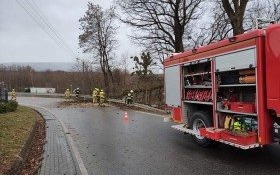 Silny wiatr dał się we znaki