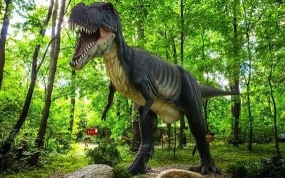 Poznajemy Małopolskę Zachodnią. Zapraszamy do Zatora!