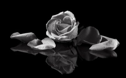 Ostatnie pożegnanie Pani Stefanii