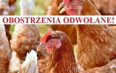 Obostrzenia związane z ptasią grypą odwołane