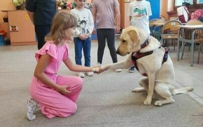 Labrador Wally od października ponownie gości w kęckiej Dwójce!