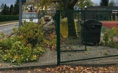 Ruszają prace pielęgnacyjne drzewostanu na terenach rekreacyjnych