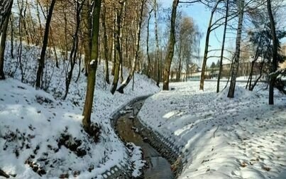 Odcinkowa modernizacja rowu „Włosień”