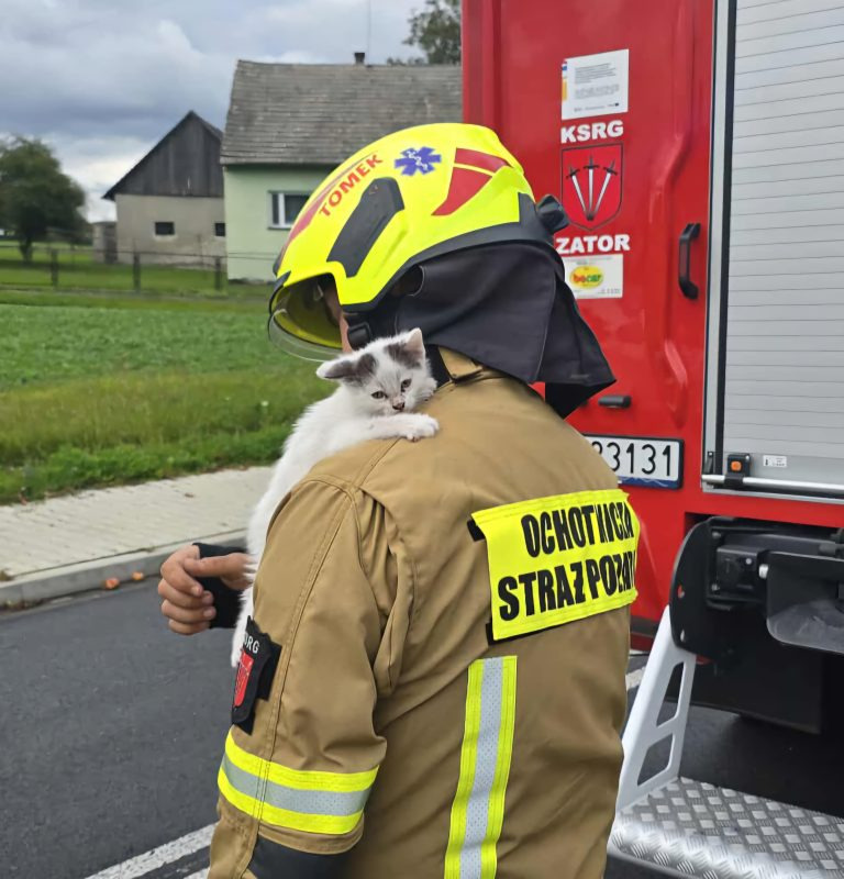 Koty w opałach – strażacy z Zatora ruszyli na pomoc!