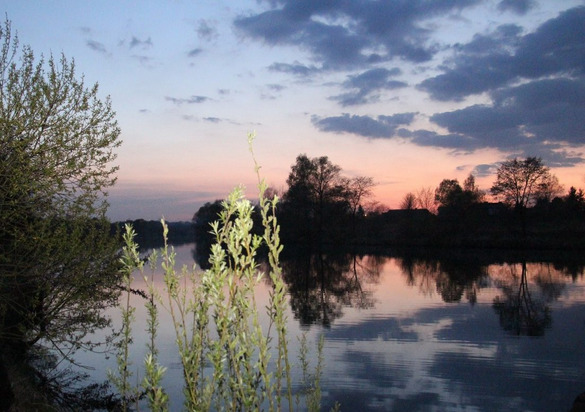 Zwłoki w Wiśle. W akcji służby ratunkowe