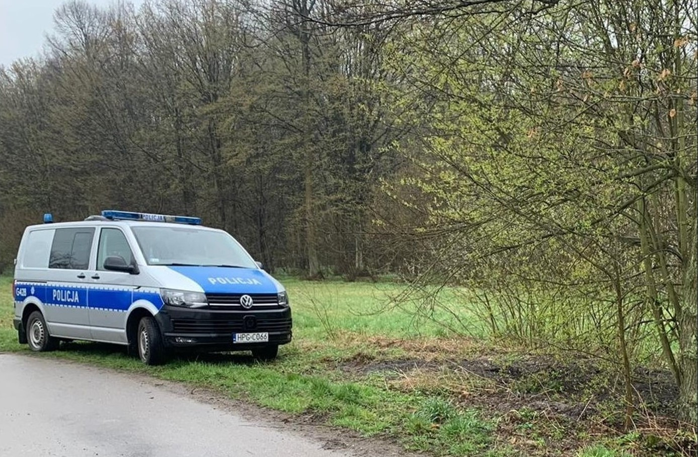 Mandat za rozpalenie ogniska w lesie