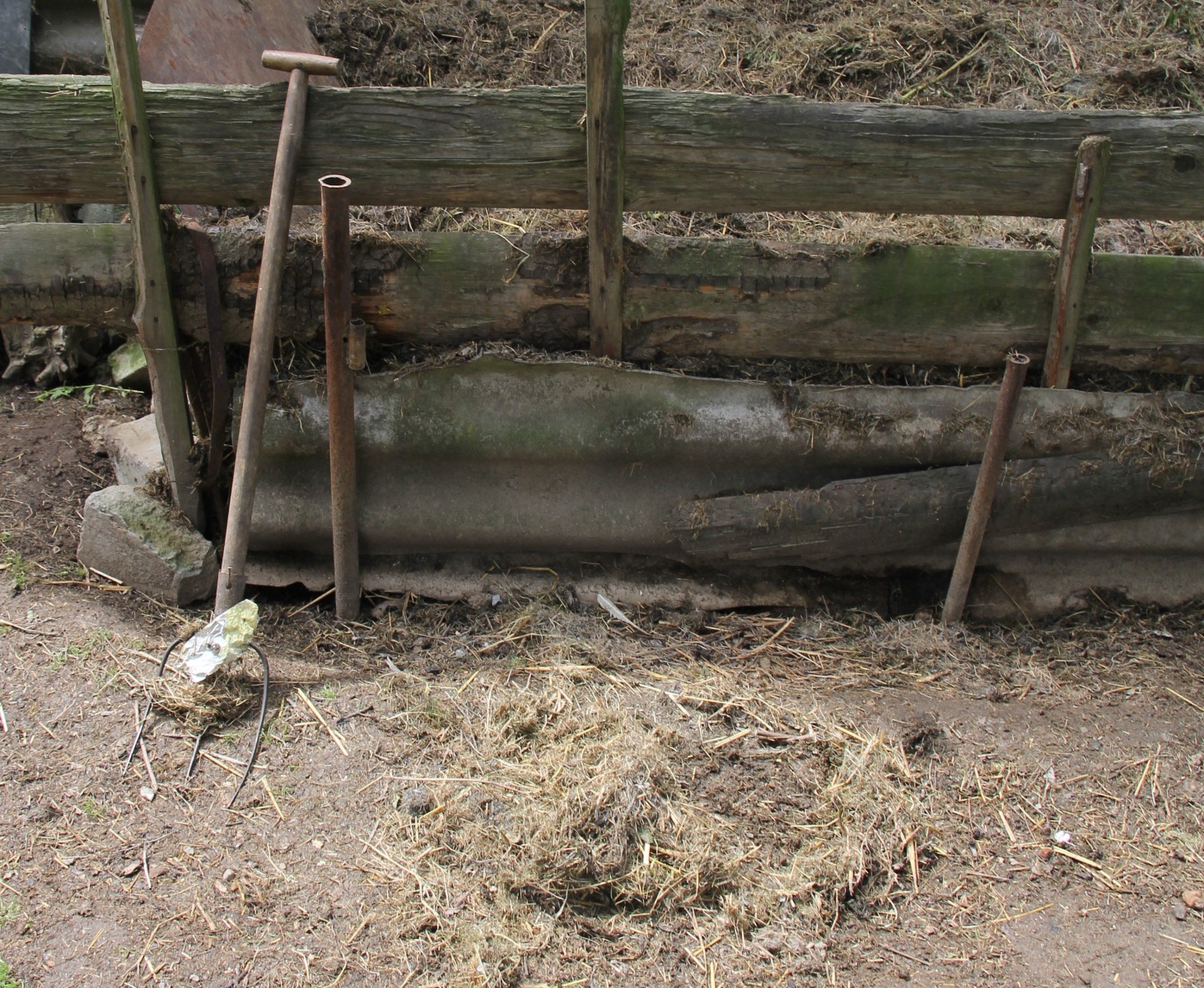 Pijany mężczyzna zabił swojego kota. ZDJĘCIE !