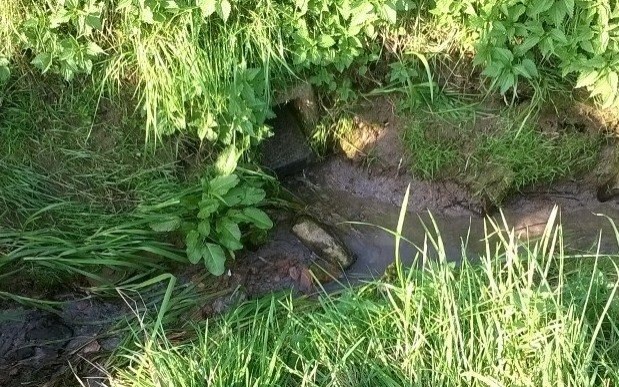 Policjanci strzegą miejsca, w którym znaleziono niewypał !