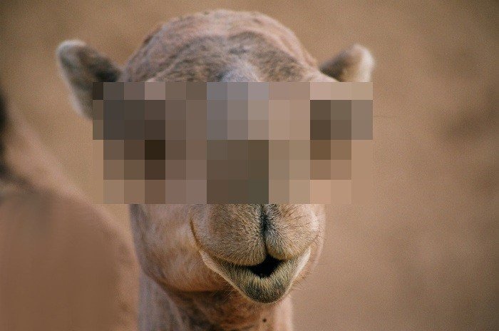 Stworzył poważne zagrożenie w ruchu lądowym- czy ktoś rozpozna tego przestępce ? FILM !