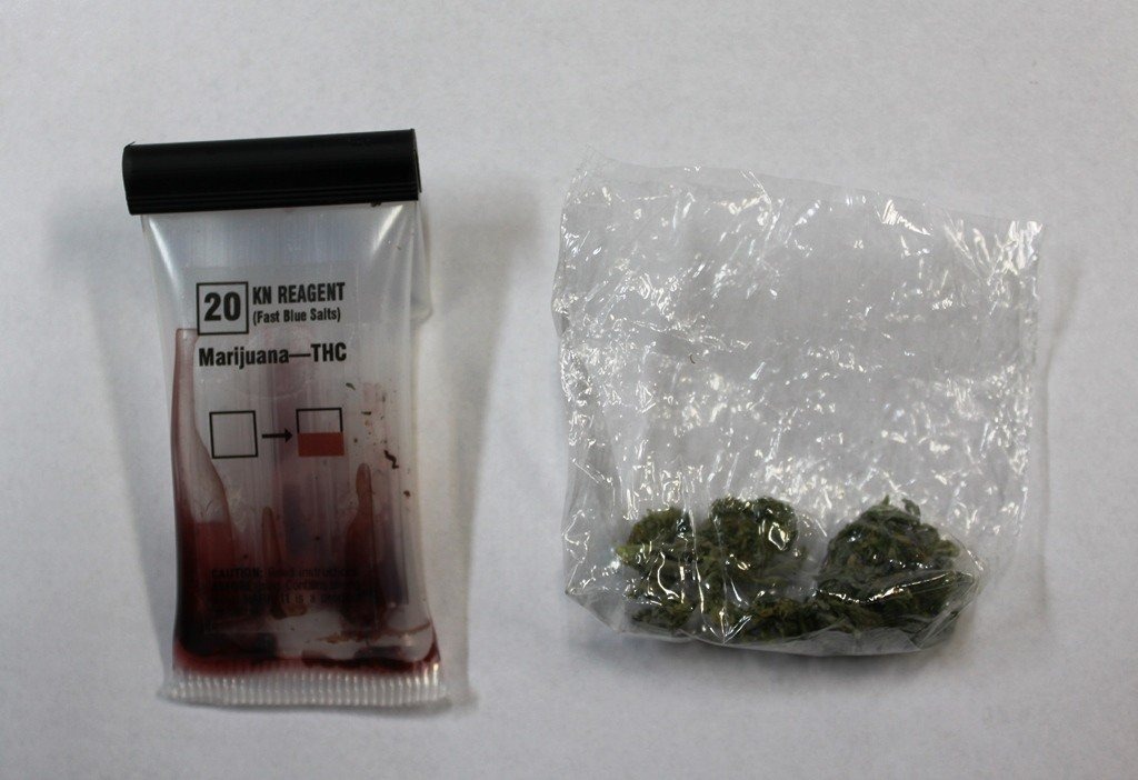 W ręce policjantów wpadł młody amator narkotyków.