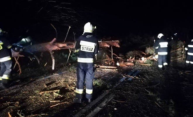 Powalone drzewa, zalana piwnica oraz pożary. Interwencje straży po przejściu burzy.Zdjęcia!